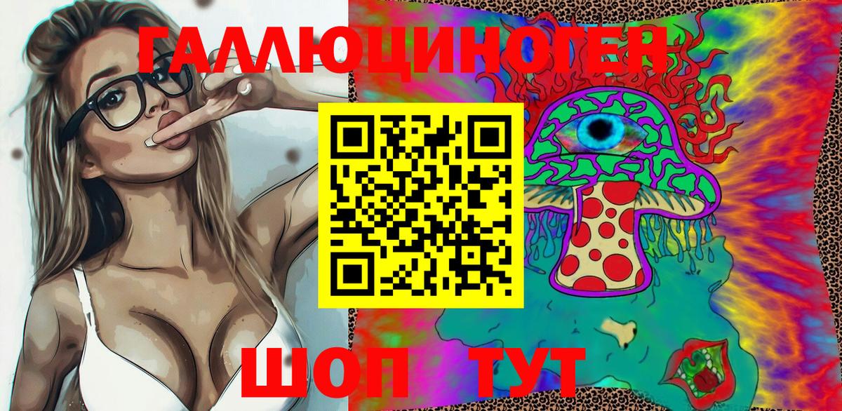 Псилоцибиновые грибы Psilocybe Дзержинский