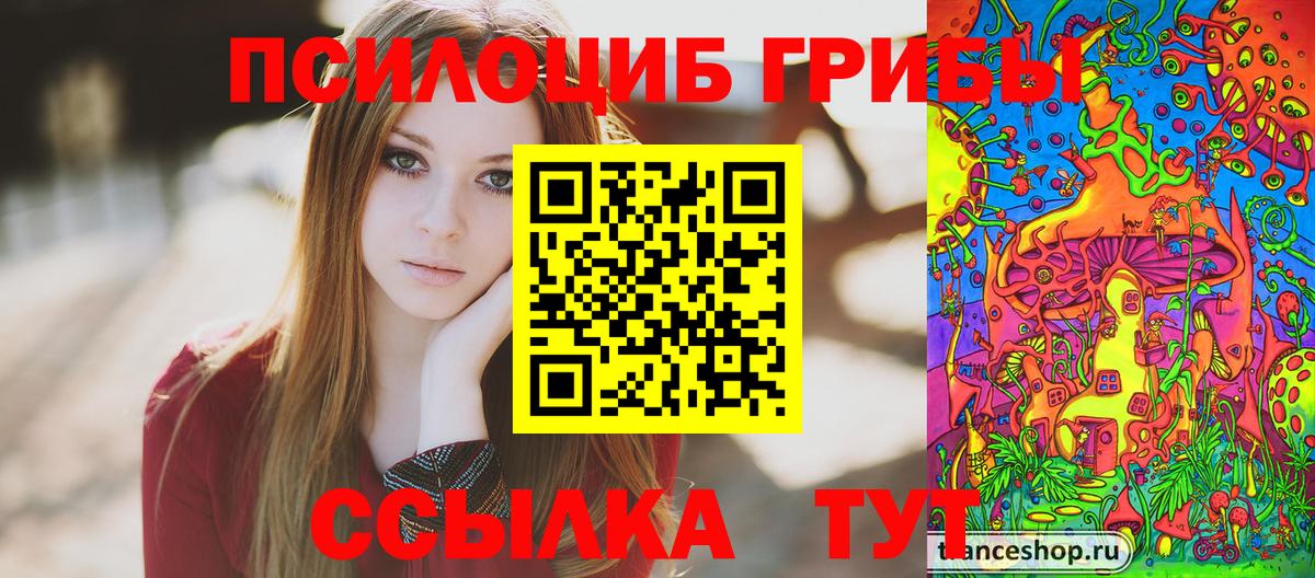 Дзержинский  Псилоцибиновые грибы мицелий  Вход с VPN  Псилоцибиновые грибы GOLDEN TEACHER 
